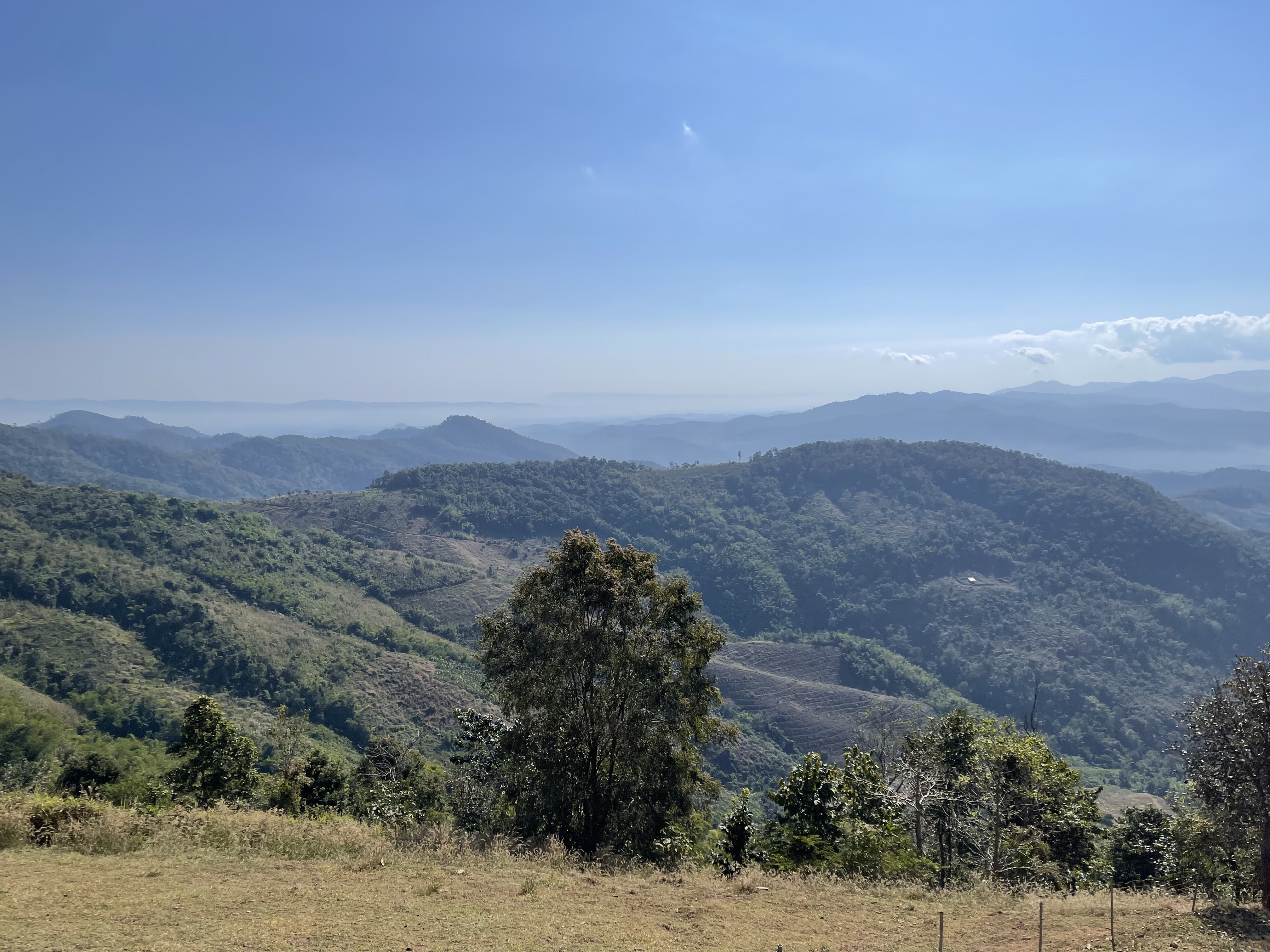 Northern Thailand coffee highlands